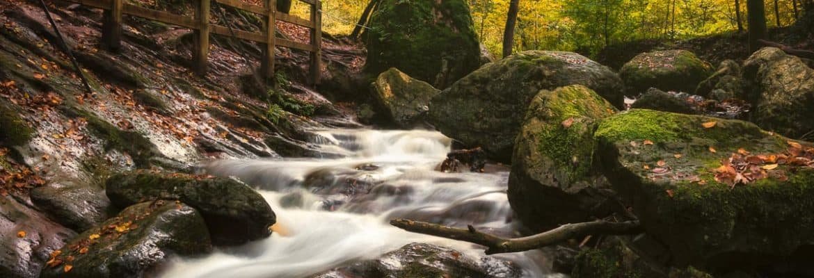 Belgian Ardennes