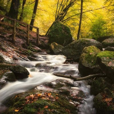 Belgian Ardennes