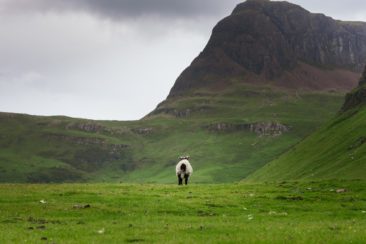 lonely-landscape-scotland