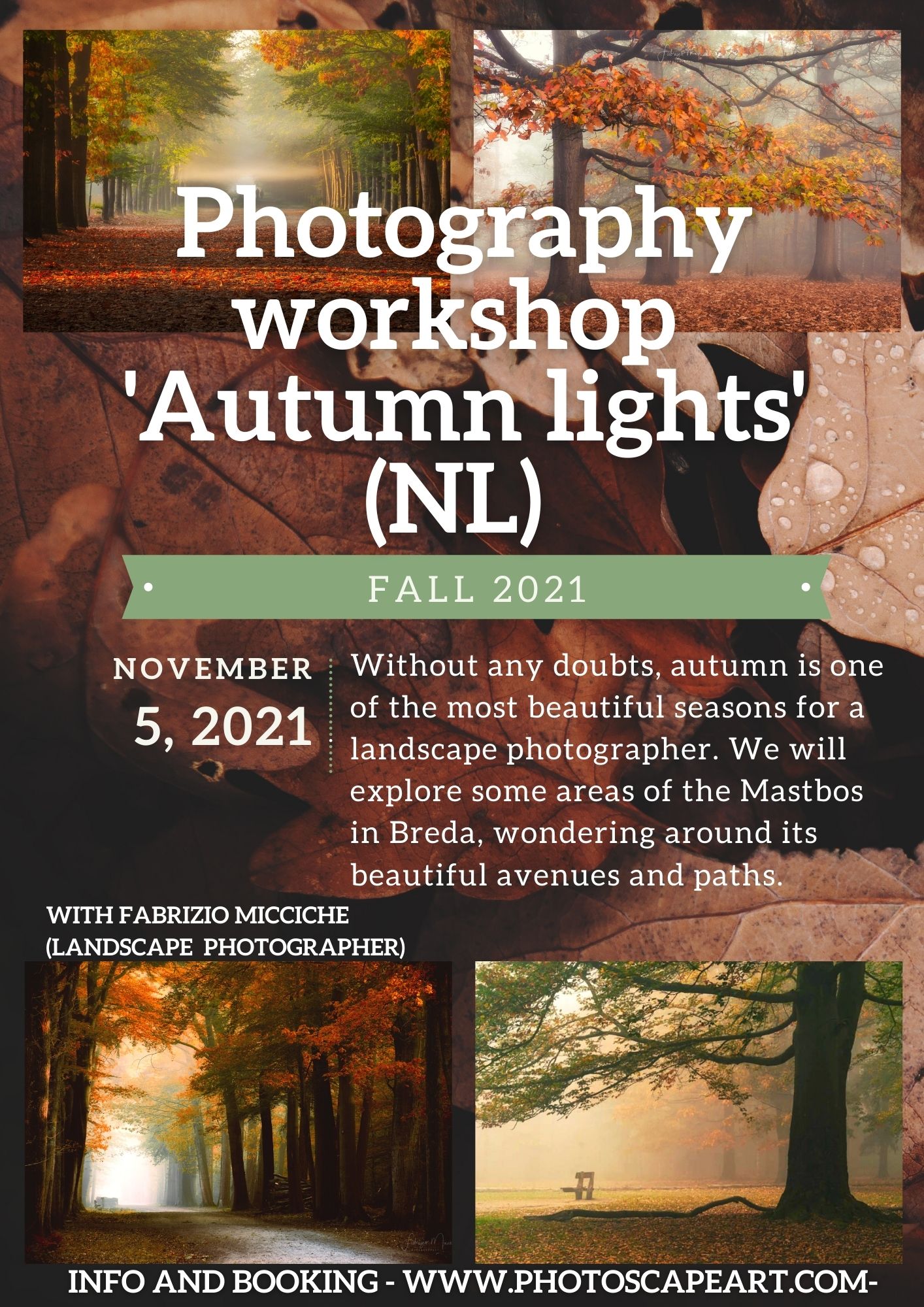 Photography workshop 'Autumn lights' (NL)