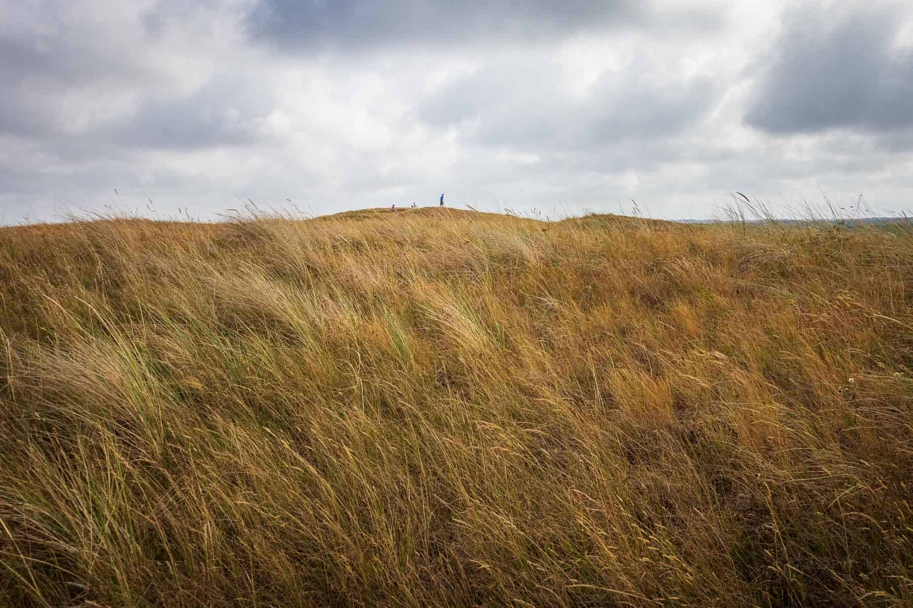 On top of the Texel dune
