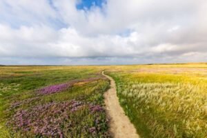 Texel path through the dunes