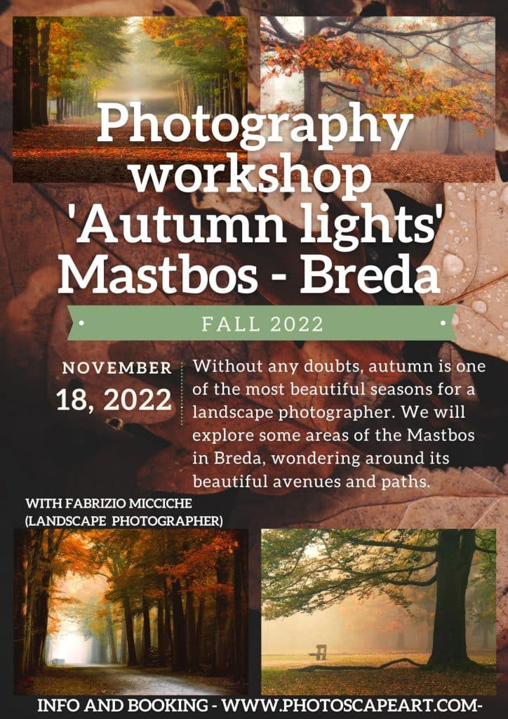 Photography workshop 'Autumn lights' Mastbos - Breda
